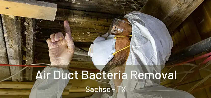  Air Duct Bacteria Removal Sachse - TX