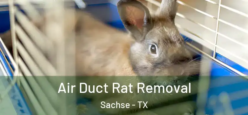  Air Duct Rat Removal Sachse - TX