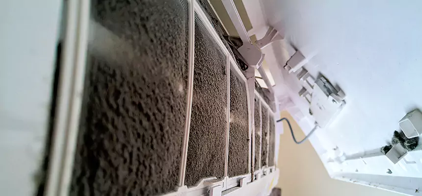 Preventive Air Duct Bacteria Removal in Sachse