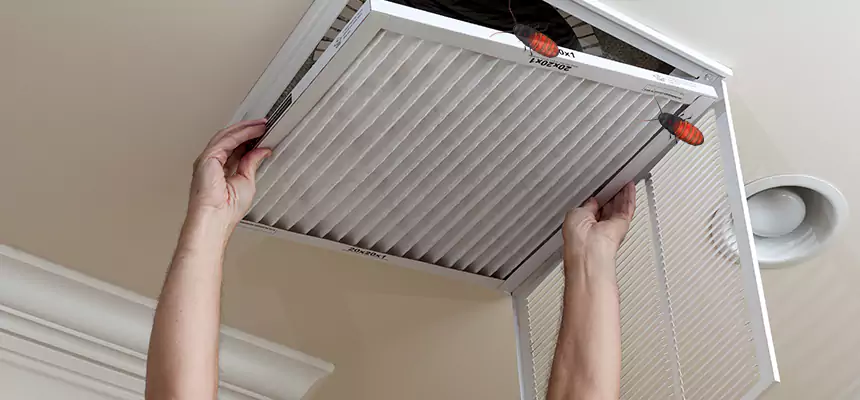 Preventive Cockroach-Proofing for Ducts in Sachse