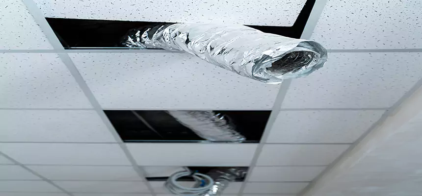 Affordable HVAC Sanitizing After Pest Removal in Sachse