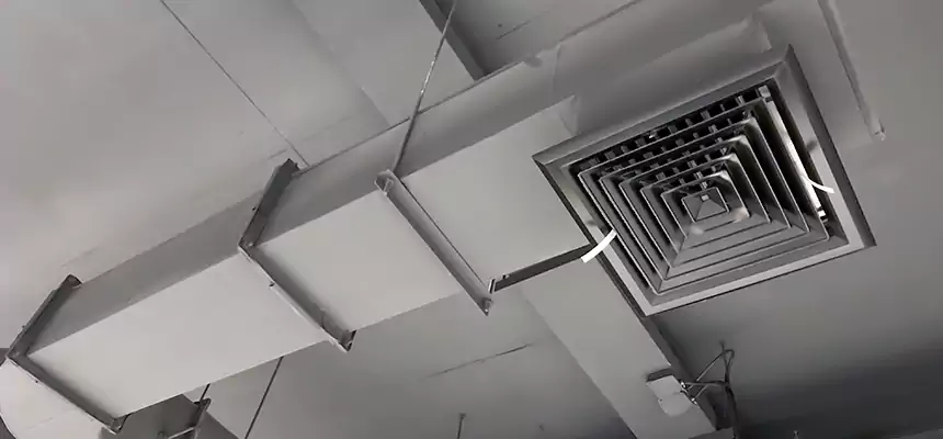 Our Pest Removal From Ducts Services in Sachse, TX