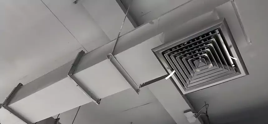 Our Rodent Droppings In Vents Services in Sachse, TX