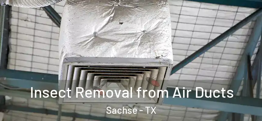  Insect Removal from Air Ducts Sachse - TX