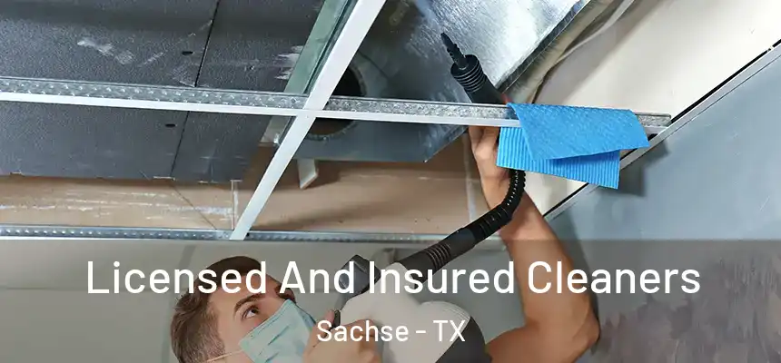  Licensed And Insured Cleaners Sachse - TX