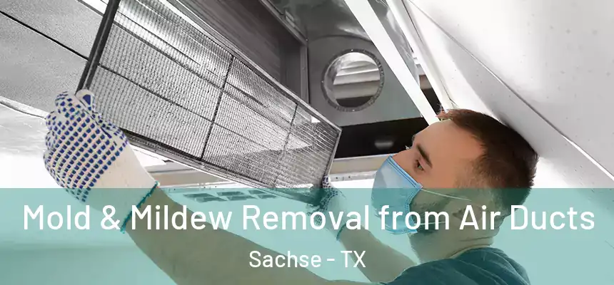  Mold & Mildew Removal from Air Ducts Sachse - TX