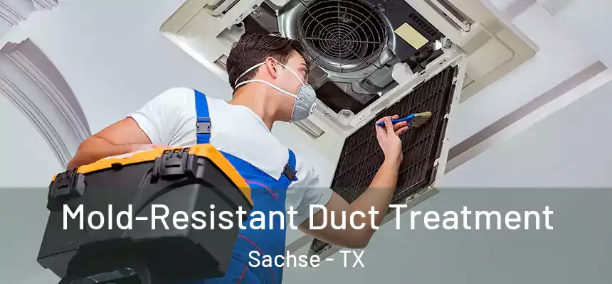  Mold-Resistant Duct Treatment Sachse - TX