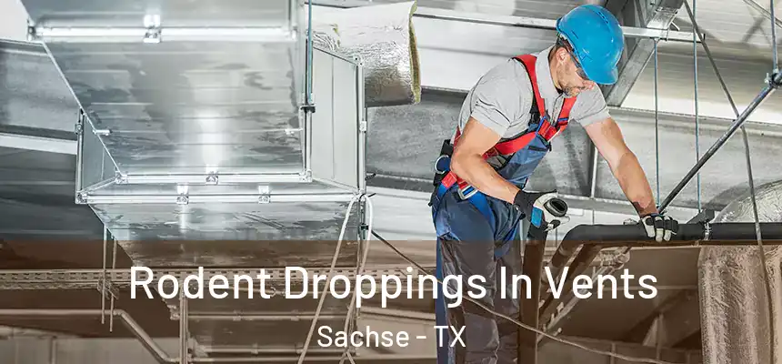  Rodent Droppings In Vents Sachse - TX