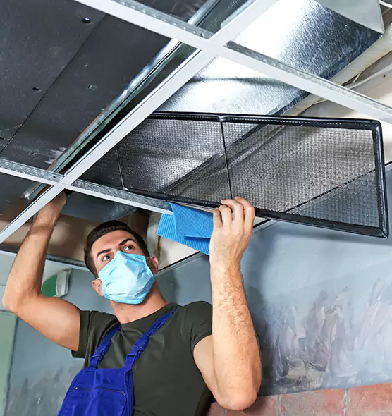 About Air Duct Bacteria Removal in Sachse