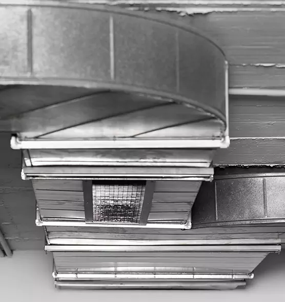 Professional Air Duct Pest Removal in Sachse, TX