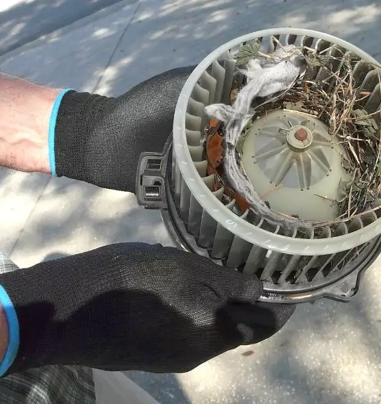 About Air Duct Rat Removal in Sachse, TX