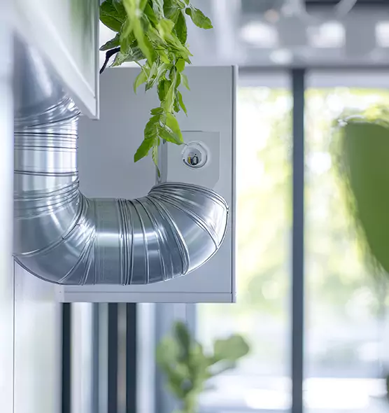 Professional Eco-Safe Dryer Vent Cleaning in Sachse, TX