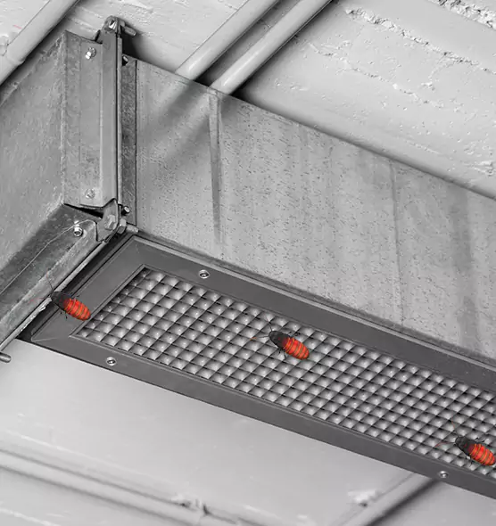 Affordable Insect Removal from Air Ducts in Sachse, TX