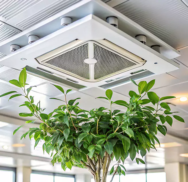 Why Homeowners & Businesses Trust Us in Sachse, TX