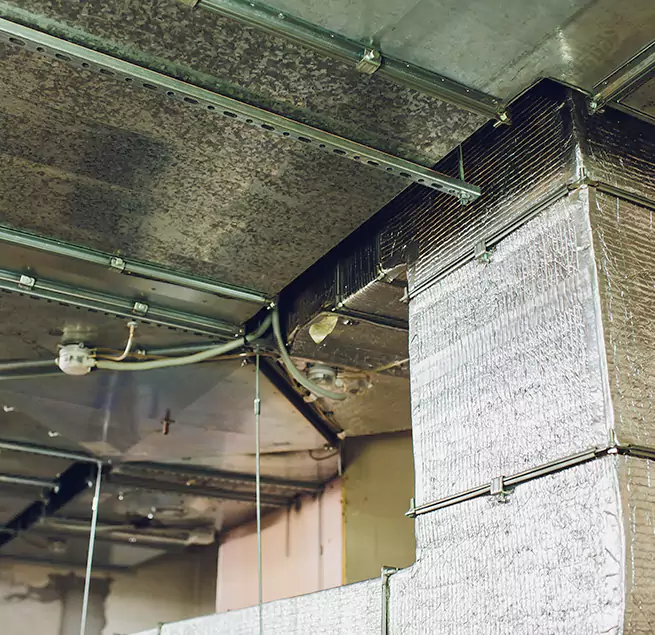 Why Homeowners & Businesses Trust Us in Sachse, TX?