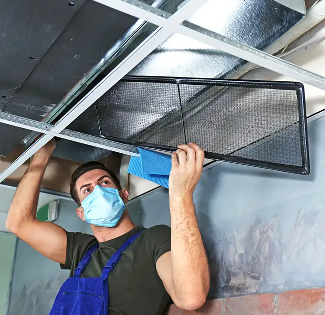 Why Homeowners & Businesses Trust Us in Sachse, TX?